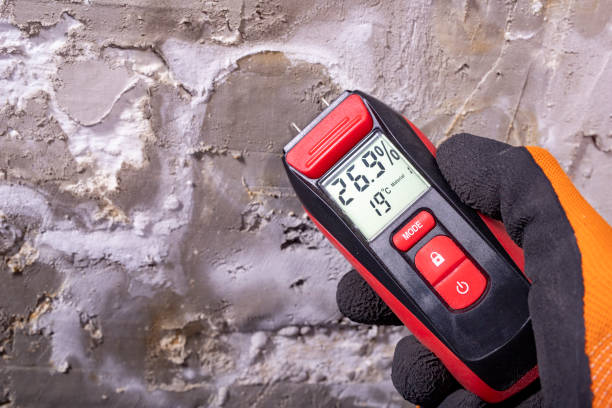 Best Emergency Mold Remediation in Northwest Harwinton, CT