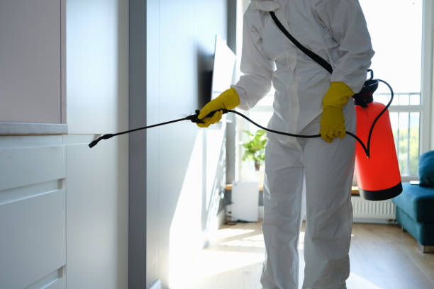 Best Post-Remediation Services in Northwest Harwinton, CT