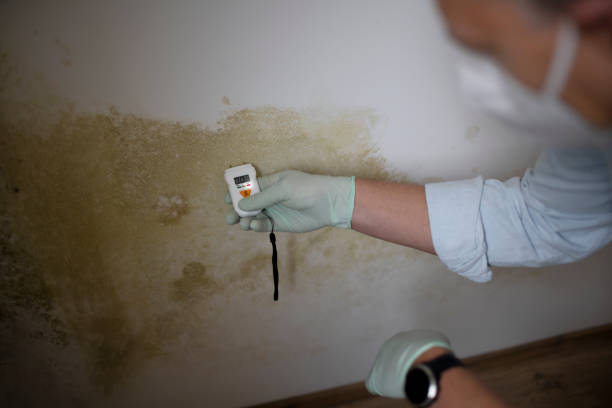 Best Mold Remediation for Specific Building Types in Northwest Harwinton, CT