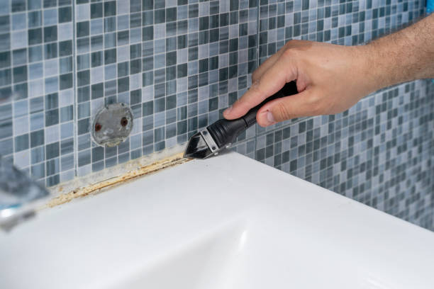 Best Preventive Mold Services in Northwest Harwinton, CT